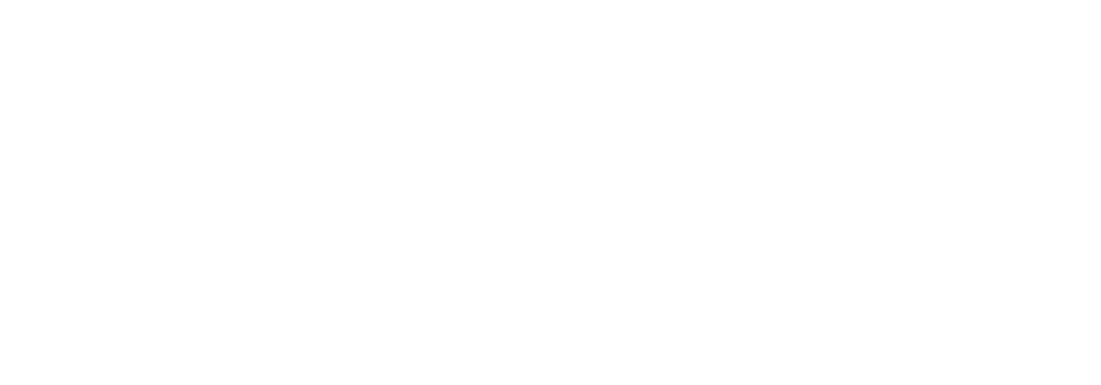sanitex