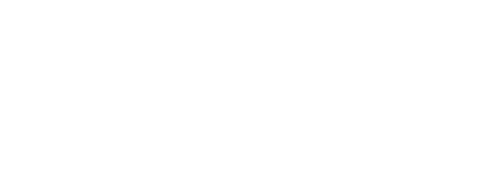 tzmo